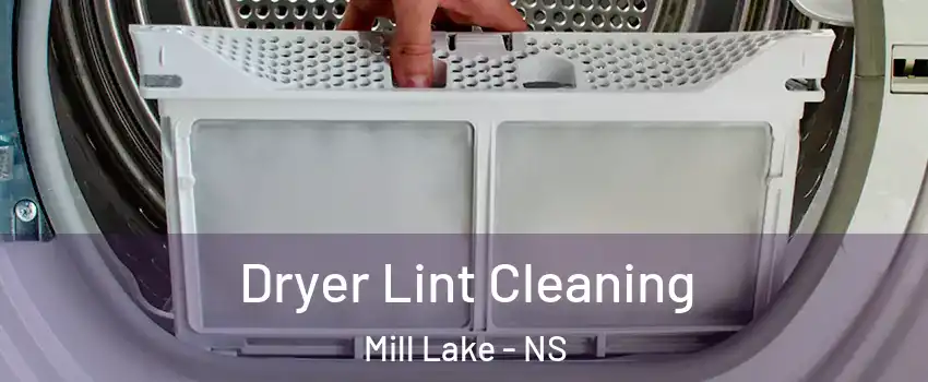 Dryer Lint Cleaning Mill Lake - NS