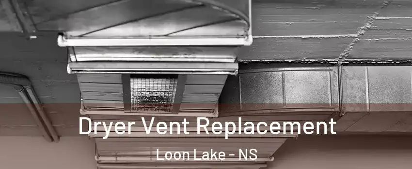 Dryer Vent Replacement Loon Lake - NS