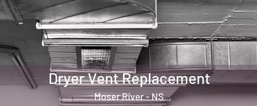 Dryer Vent Replacement Moser River - NS