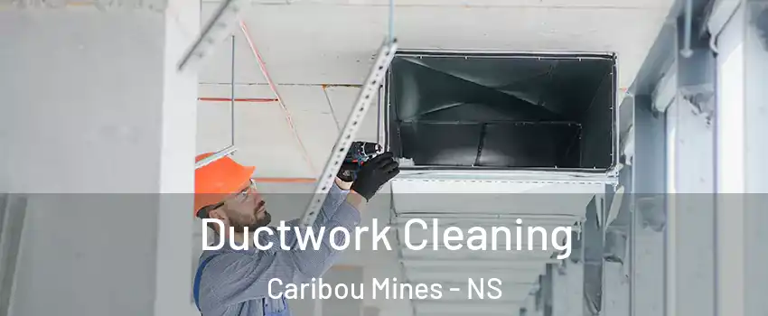 Ductwork Cleaning Caribou Mines - NS