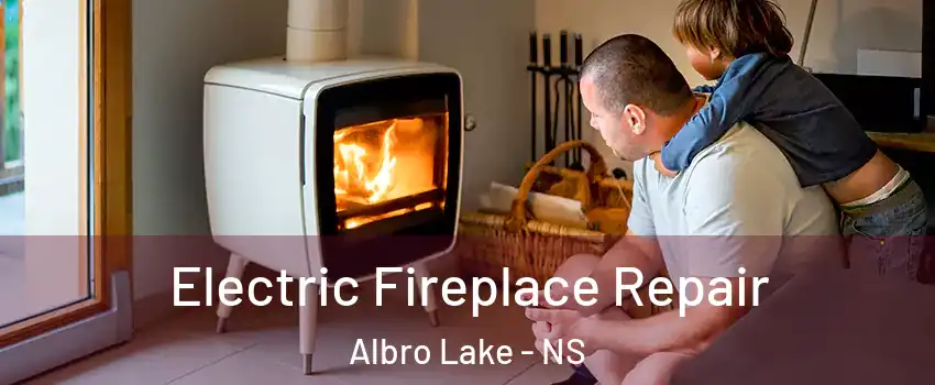 Electric Fireplace Repair Albro Lake - NS