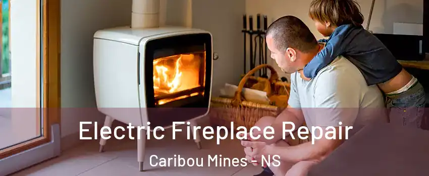 Electric Fireplace Repair Caribou Mines - NS