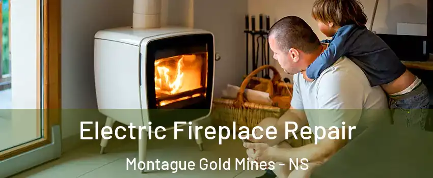 Electric Fireplace Repair Montague Gold Mines - NS