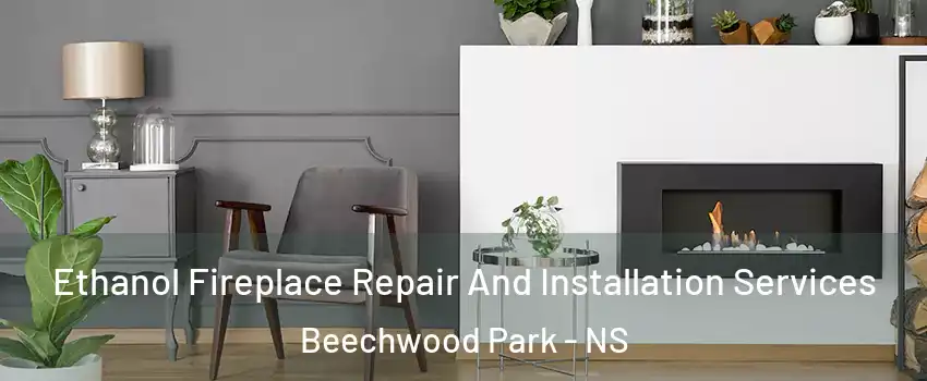 Ethanol Fireplace Repair And Installation Services Beechwood Park - NS