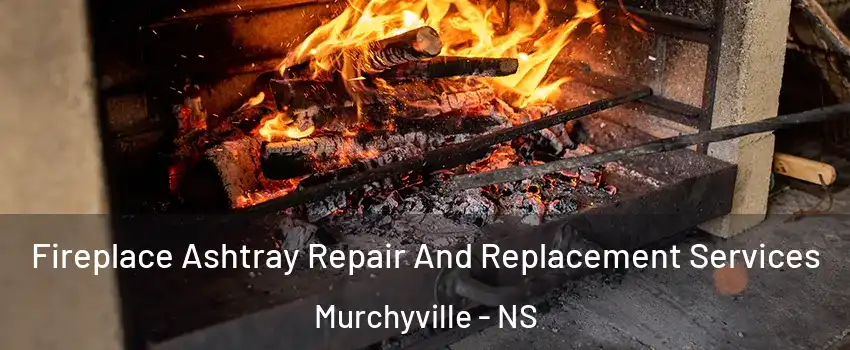 Fireplace Ashtray Repair And Replacement Services Murchyville - NS