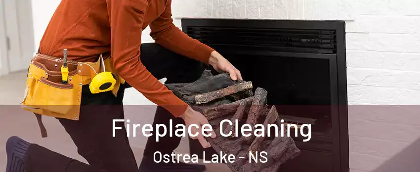 Fireplace Cleaning Ostrea Lake - NS