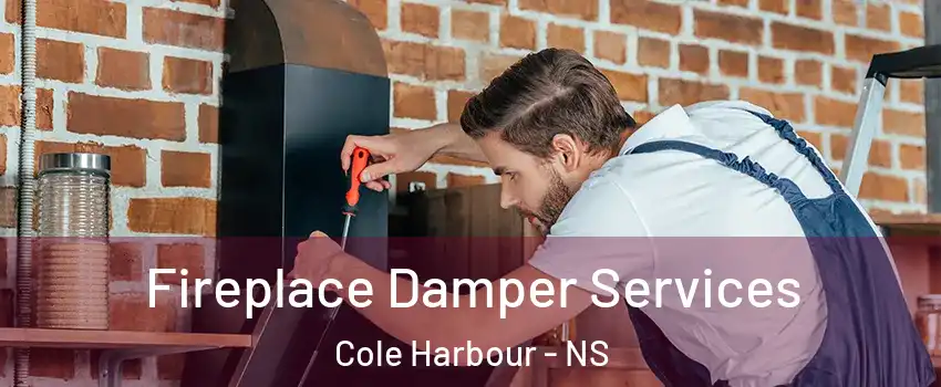 Fireplace Damper Services Cole Harbour - NS