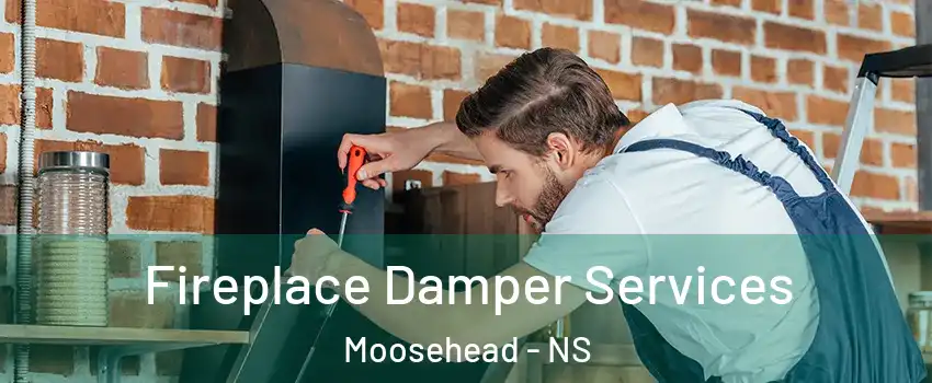 Fireplace Damper Services Moosehead - NS