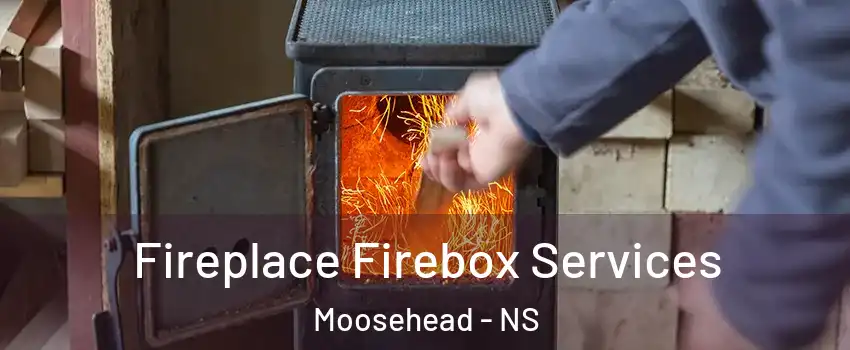 Fireplace Firebox Services Moosehead - NS