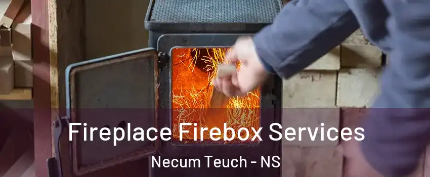Fireplace Firebox Services Necum Teuch - NS