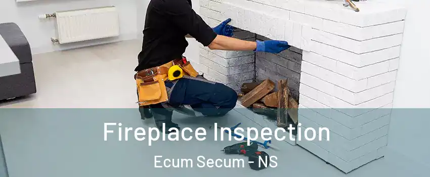 Fireplace Inspection Ecum Secum - NS