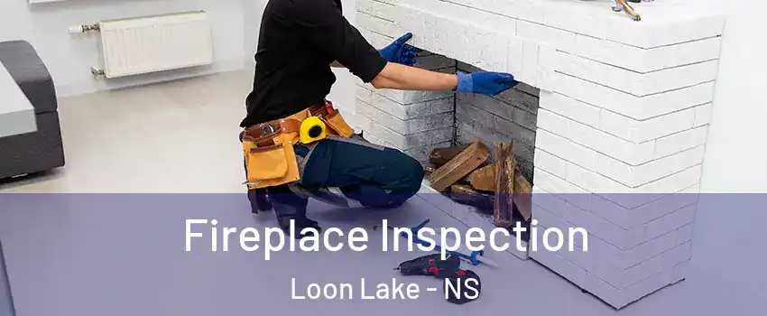Fireplace Inspection Loon Lake - NS