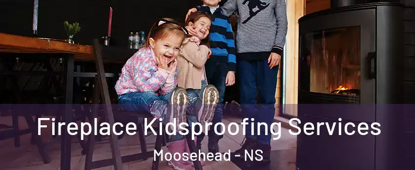 Fireplace Kidsproofing Services Moosehead - NS