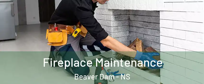 Fireplace Maintenance Beaver Dam - NS