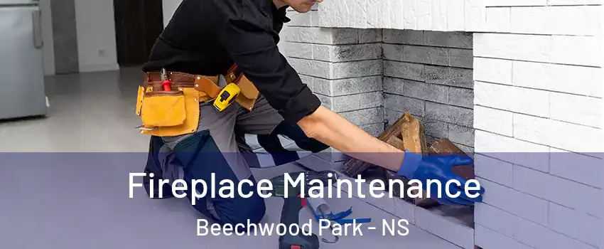 Fireplace Maintenance Beechwood Park - NS