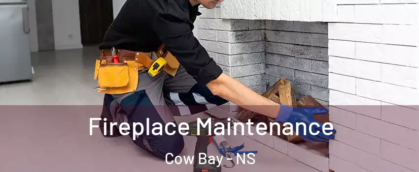 Fireplace Maintenance Cow Bay - NS