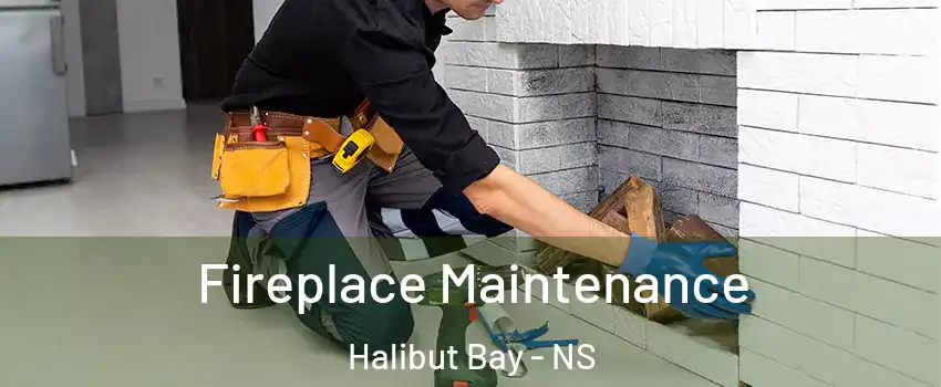 Fireplace Maintenance Halibut Bay - NS