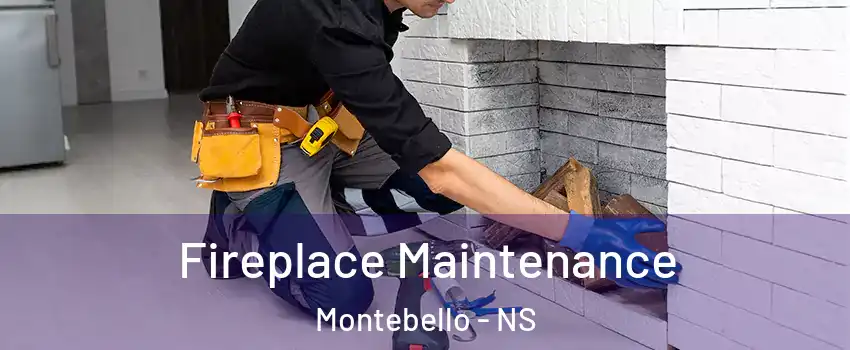 Fireplace Maintenance Montebello - NS