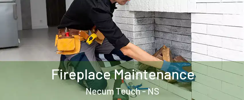 Fireplace Maintenance Necum Teuch - NS