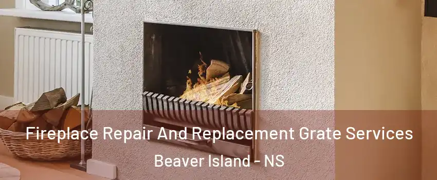 Fireplace Repair And Replacement Grate Services Beaver Island - NS