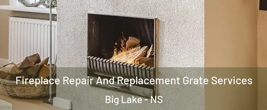 Fireplace Repair And Replacement Grate Services Big Lake - NS