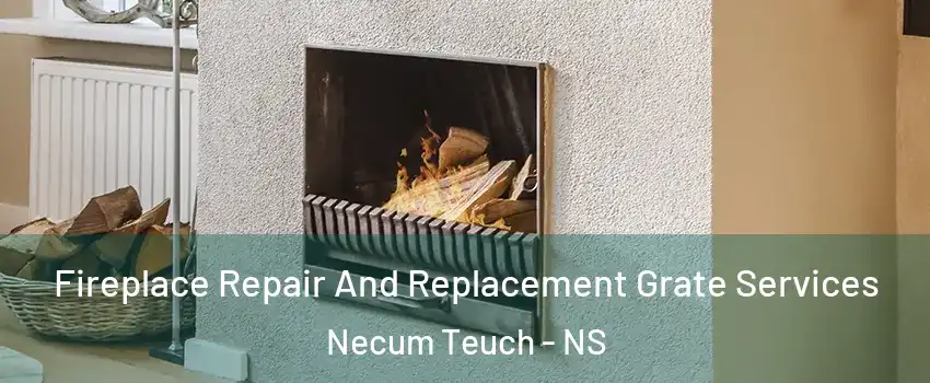 Fireplace Repair And Replacement Grate Services Necum Teuch - NS