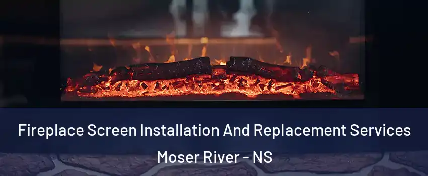 Fireplace Screen Installation And Replacement Services Moser River - NS