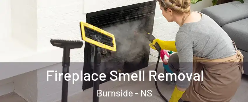 Fireplace Smell Removal Burnside - NS