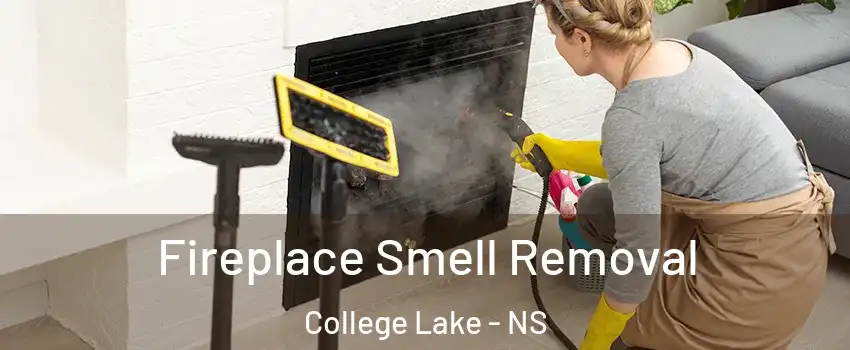 Fireplace Smell Removal College Lake - NS