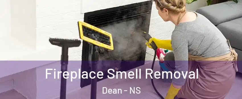 Fireplace Smell Removal Dean - NS