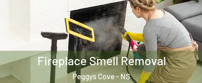 Fireplace Smell Removal Peggys Cove - NS