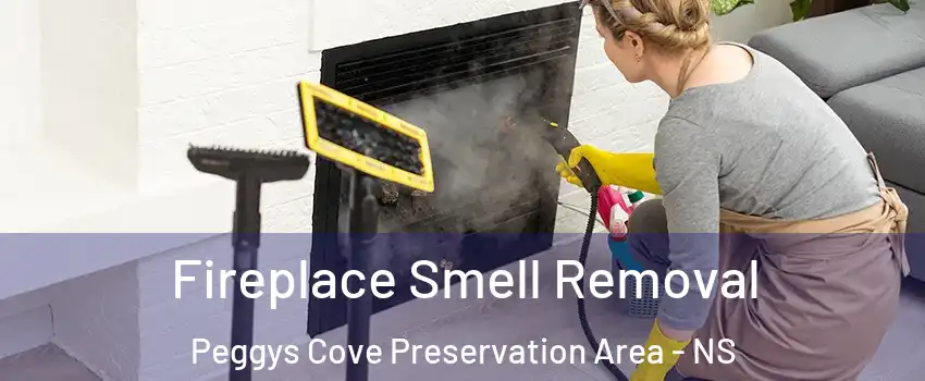 Fireplace Smell Removal Peggys Cove Preservation Area - NS