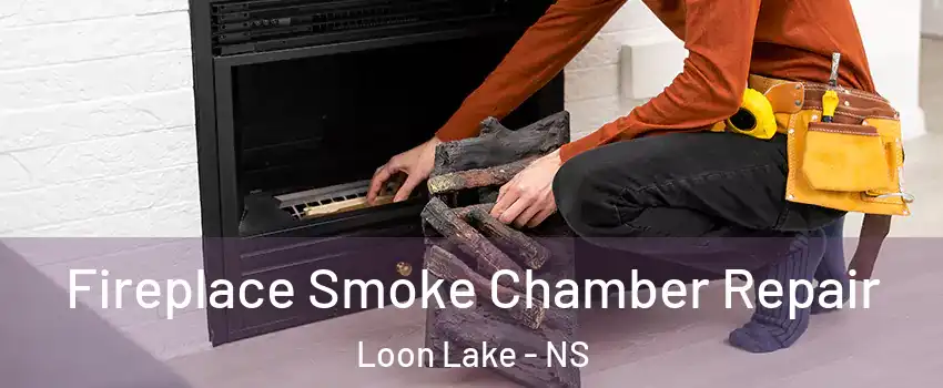 Fireplace Smoke Chamber Repair Loon Lake - NS