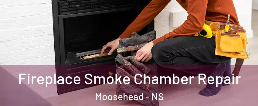 Fireplace Smoke Chamber Repair Moosehead - NS