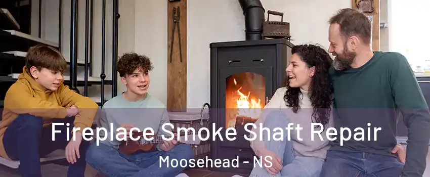 Fireplace Smoke Shaft Repair Moosehead - NS