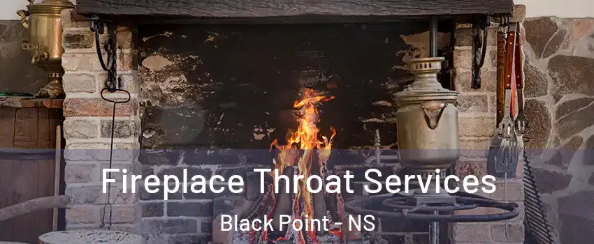 Fireplace Throat Services Black Point - NS