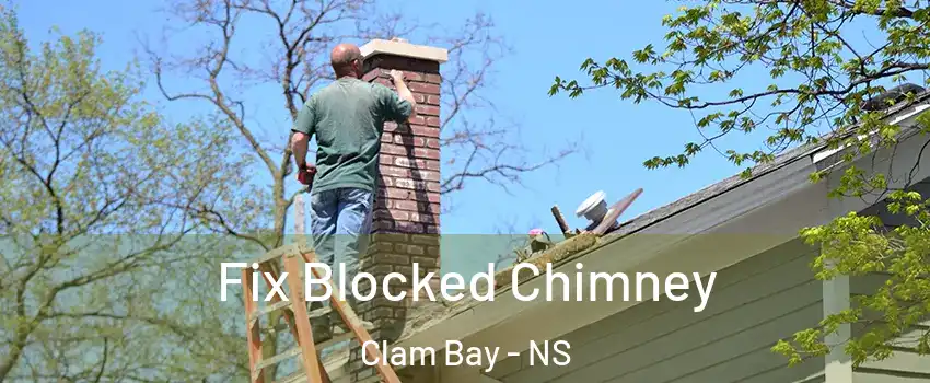 Fix Blocked Chimney Clam Bay - NS