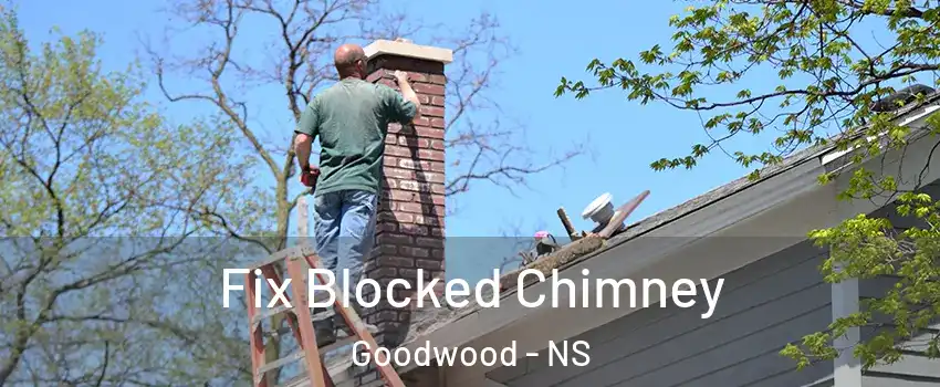Fix Blocked Chimney Goodwood - NS