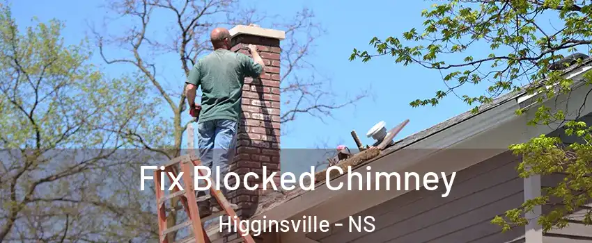 Fix Blocked Chimney Higginsville - NS
