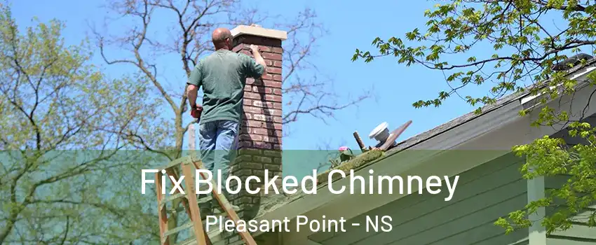 Fix Blocked Chimney Pleasant Point - NS