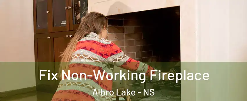 Fix Non-Working Fireplace Albro Lake - NS