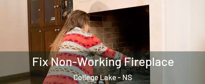 Fix Non-Working Fireplace College Lake - NS