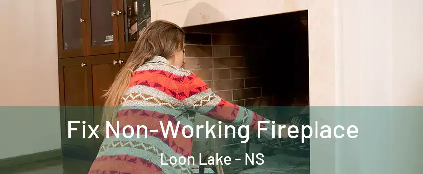 Fix Non-Working Fireplace Loon Lake - NS