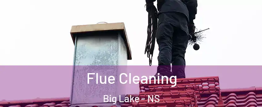Flue Cleaning Big Lake - NS