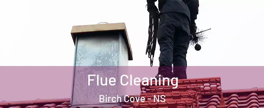 Flue Cleaning Birch Cove - NS