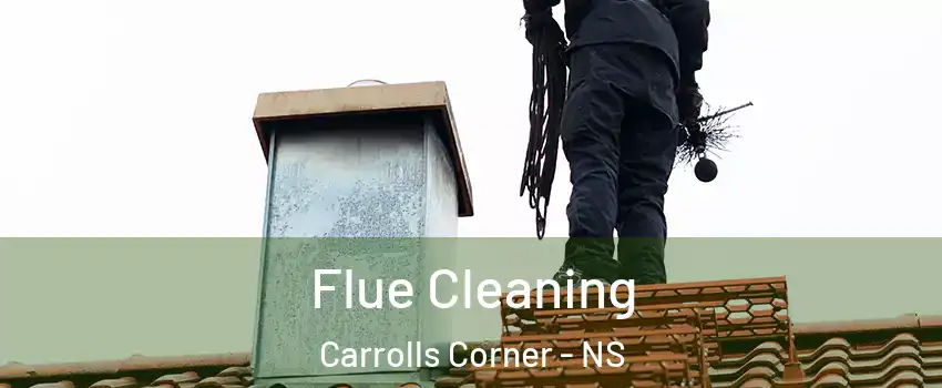 Flue Cleaning Carrolls Corner - NS