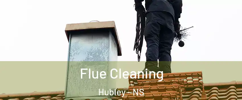 Flue Cleaning Hubley - NS