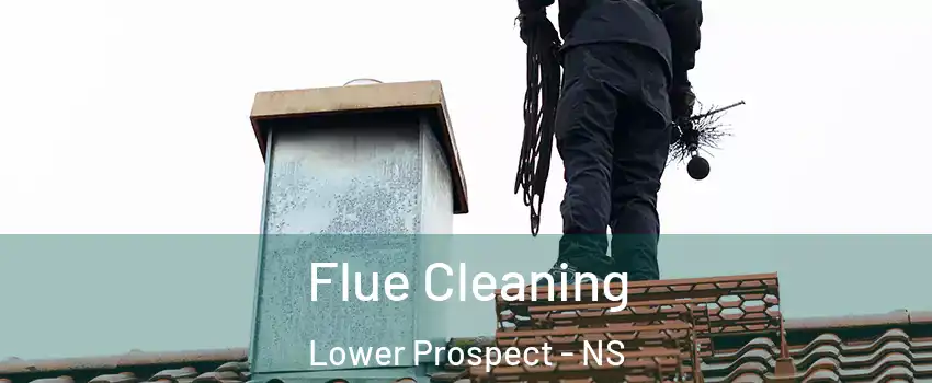 Flue Cleaning Lower Prospect - NS