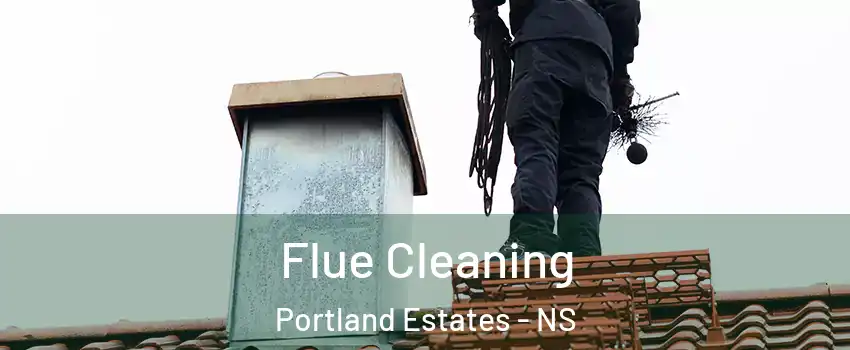 Flue Cleaning Portland Estates - NS