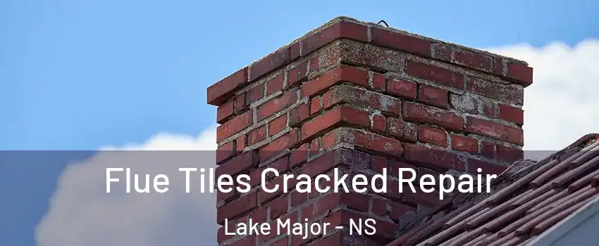 Flue Tiles Cracked Repair Lake Major - NS